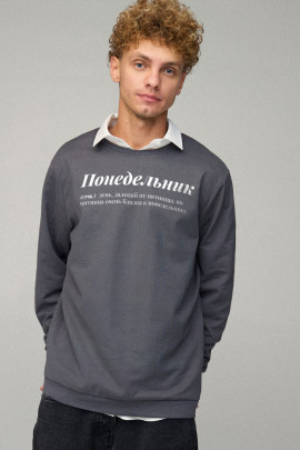 Свитшот мужской OVERSIZE /no flis/