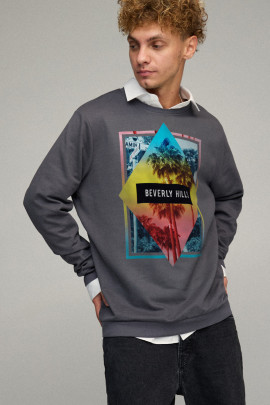 Свитшот мужской OVERSIZE /no flis/