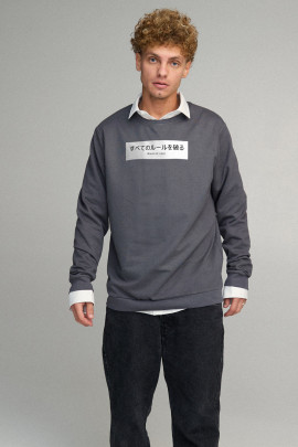 Свитшот мужской OVERSIZE /no flis/