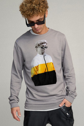 Свитшот мужской BASIC /no flis/