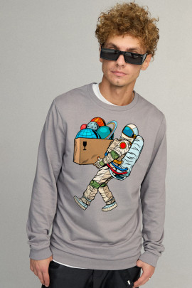 Свитшот мужской BASIC /no flis/