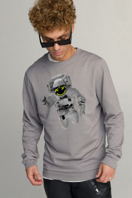 Свитшот мужской BASIC /no flis/