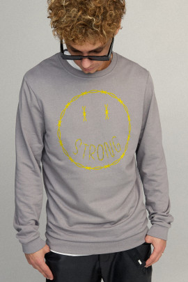 Свитшот мужской BASIC /no flis/