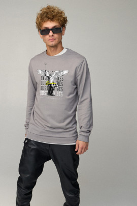 Свитшот мужской BASIC /no flis/