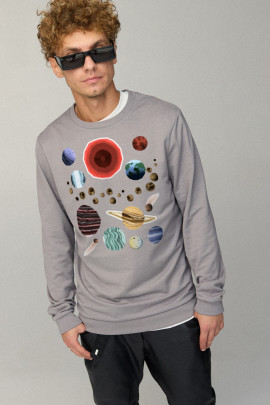 Свитшот мужской BASIC /no flis/