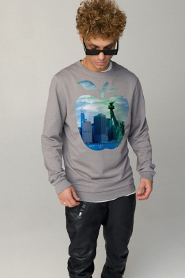 Свитшот мужской BASIC /no flis/