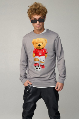 Свитшот мужской BASIC /no flis/