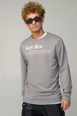 Свитшот мужской BASIC /no flis/