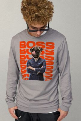 Свитшот мужской BASIC /no flis/