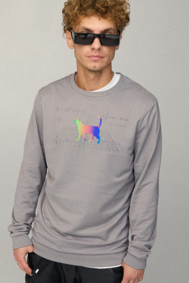 Свитшот мужской BASIC /no flis/