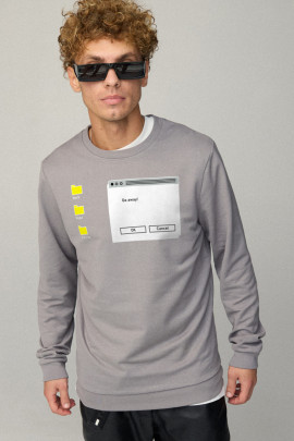 Свитшот мужской BASIC /no flis/