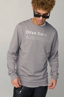 Свитшот мужской BASIC /no flis/