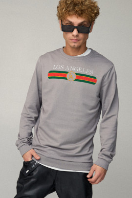 Свитшот мужской BASIC /no flis/