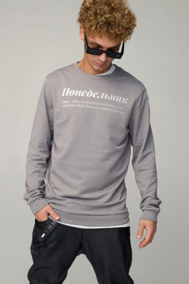 Свитшот мужской BASIC /no flis/