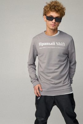 Свитшот мужской BASIC /no flis/