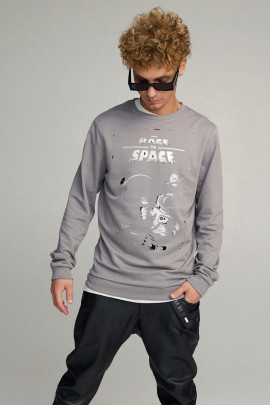 Свитшот мужской BASIC /no flis/