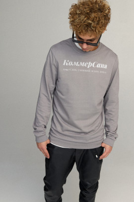 Свитшот мужской BASIC /no flis/