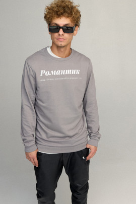 Свитшот мужской BASIC /no flis/