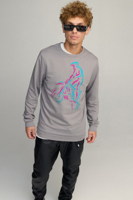 Свитшот мужской BASIC /no flis/