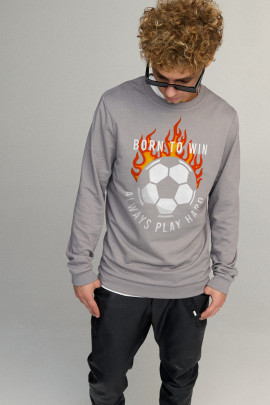 Свитшот мужской BASIC /no flis/