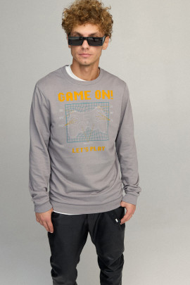 Свитшот мужской BASIC /no flis/