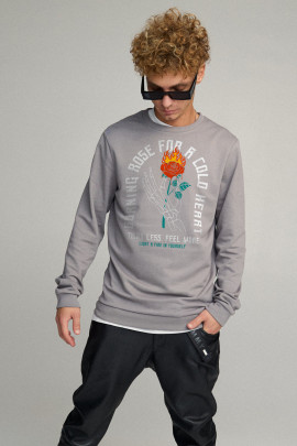 Свитшот мужской BASIC /no flis/