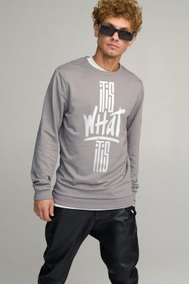 Свитшот мужской BASIC /no flis/