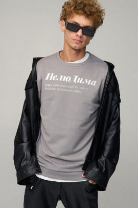 Свитшот мужской BASIC /no flis/