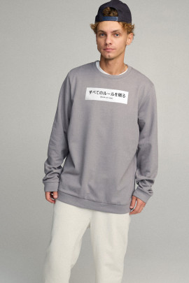Свитшот мужской OVERSIZE /no flis/