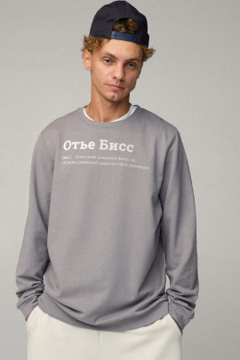 Свитшот мужской OVERSIZE /no flis/