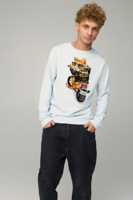 Світшот чоловічий BASIC /no flis/