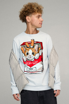 Світшот чоловічий BASIC /no flis/