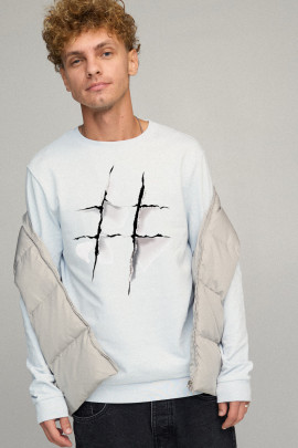 Світшот чоловічий BASIC /no flis/