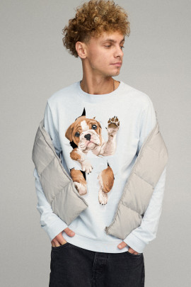 Світшот чоловічий BASIC /no flis/