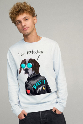 Світшот чоловічий BASIC /no flis/