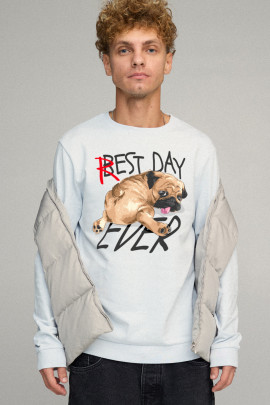 Світшот чоловічий BASIC /no flis/