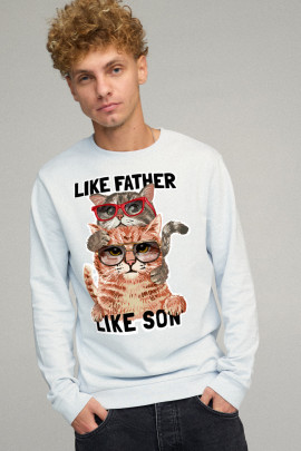 Світшот чоловічий BASIC /no flis/