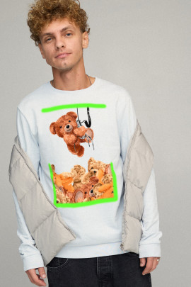 Світшот чоловічий BASIC /no flis/