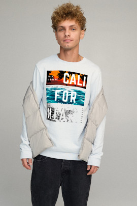 Світшот чоловічий BASIC /no flis/