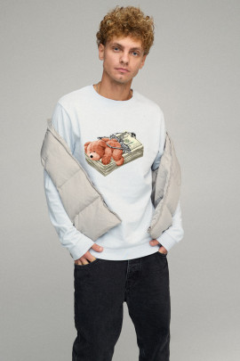 Світшот чоловічий BASIC /no flis/