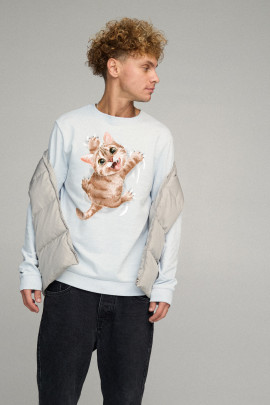 Світшот чоловічий BASIC /no flis/