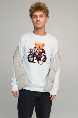 Світшот чоловічий BASIC /no flis/