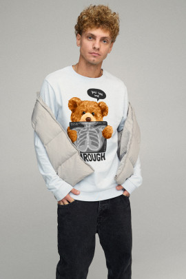 Світшот чоловічий BASIC /no flis/