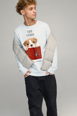 Світшот чоловічий BASIC /no flis/