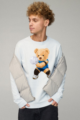 Світшот чоловічий BASIC /no flis/