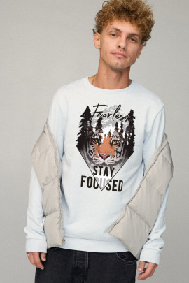 Світшот чоловічий BASIC /no flis/