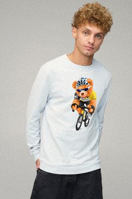 Світшот чоловічий BASIC /no flis/