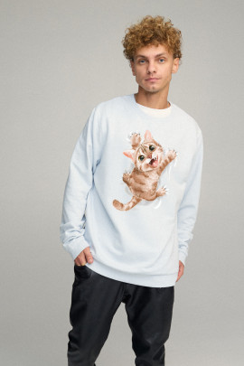 Світшот чоловічий OVERSIZE /no flis/