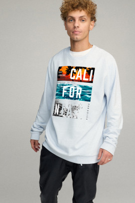 Світшот чоловічий OVERSIZE /no flis/