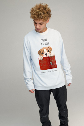 Світшот чоловічий OVERSIZE /no flis/